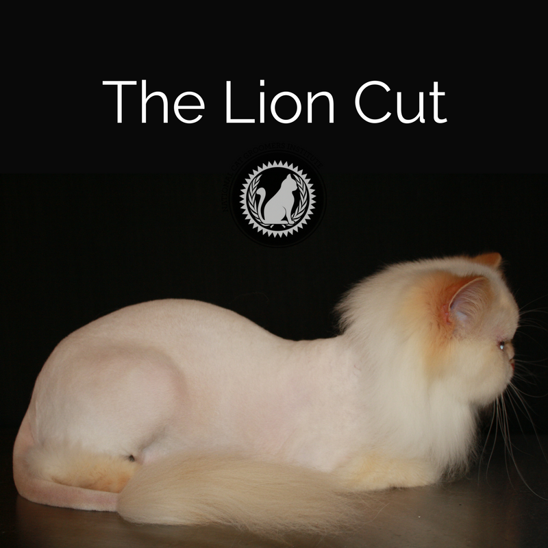 Lion Cut course icon