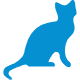 icon-cat-blue